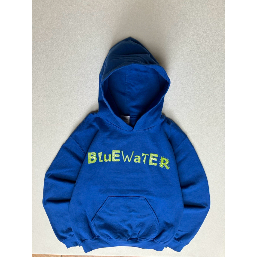 Gildan Heavy Blue Art Hoodie / CC206