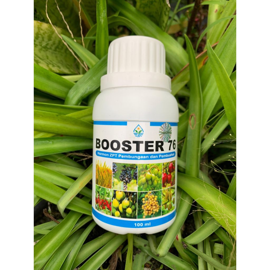 PUPUK BOOSTER 76 100ML || ORIGINAL