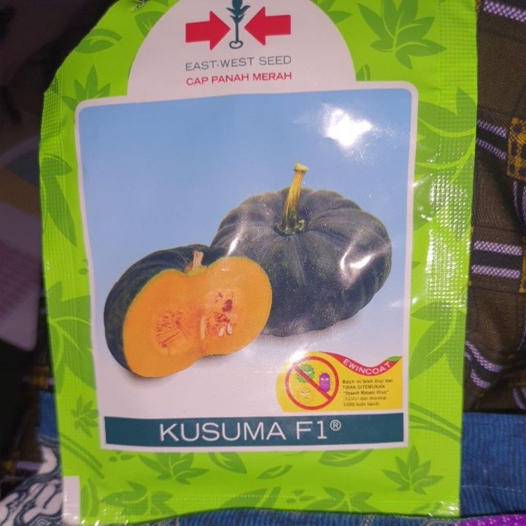 Benih Waluh Unggul - Kusuma
