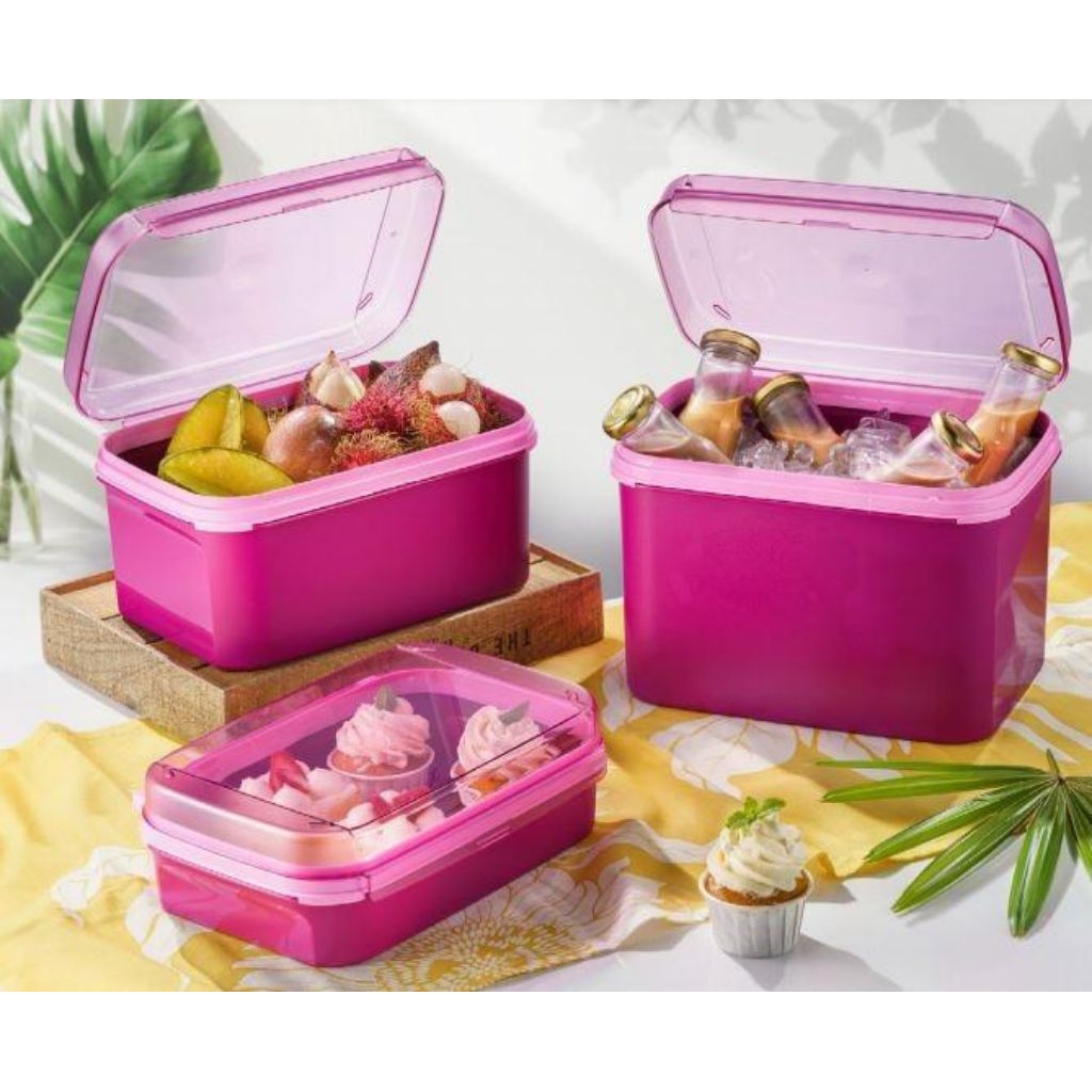 Ezy Rectangular Keeper Tupperware