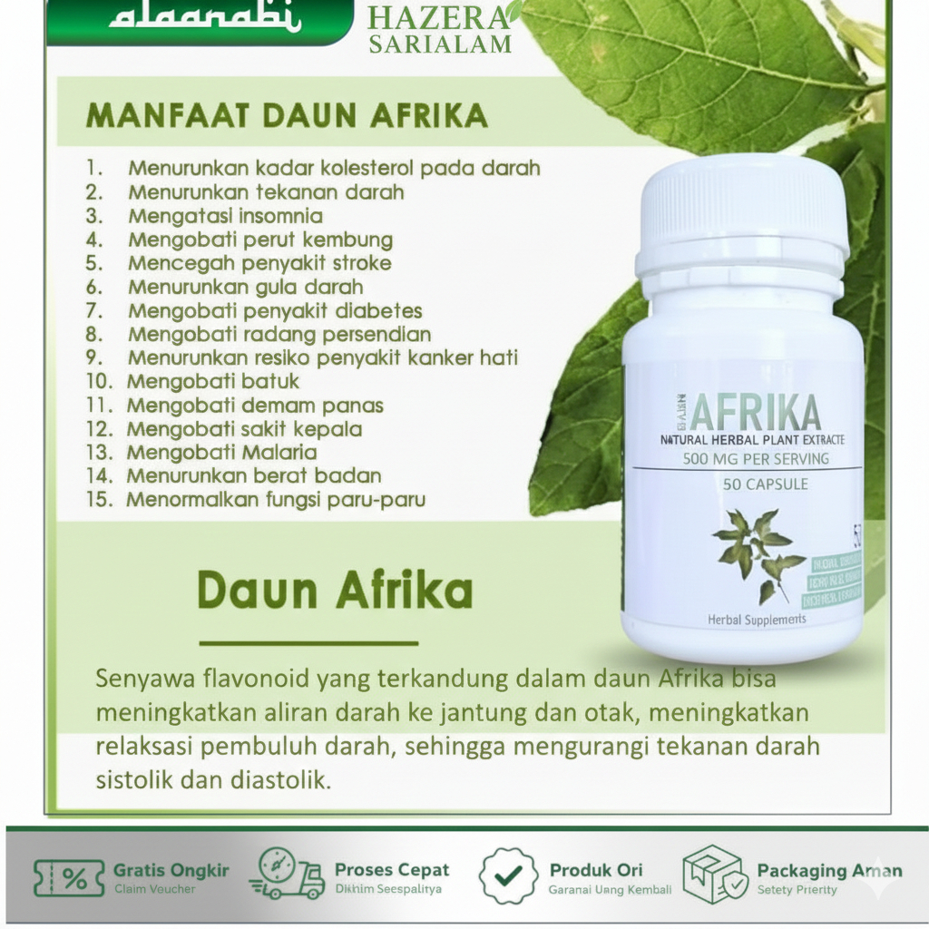 Daun afrika isi 50 kapsul herbal stroke Premium - obat strok jamu kolesterol hipertensi kebas kesemu