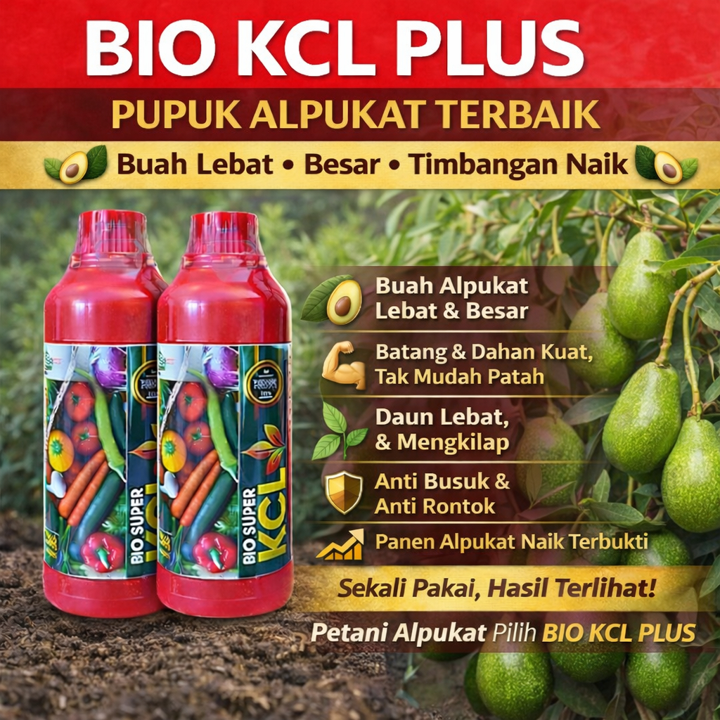 bio kcl 500 ml pupuk boster alpukat - pupuk ajaib pelebat buah alpukat terbaik - pupuk tanaman alpuk