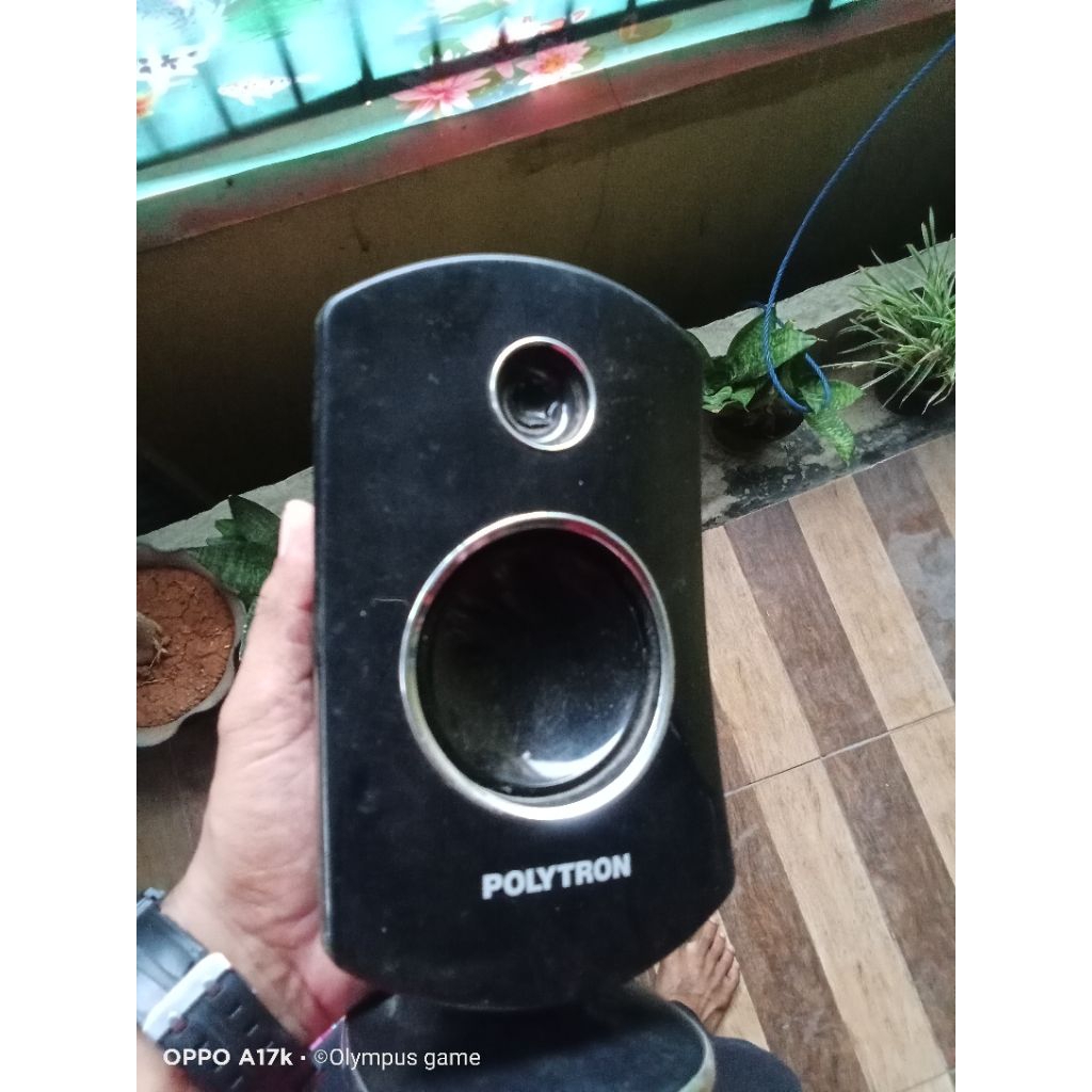 Speker polytron