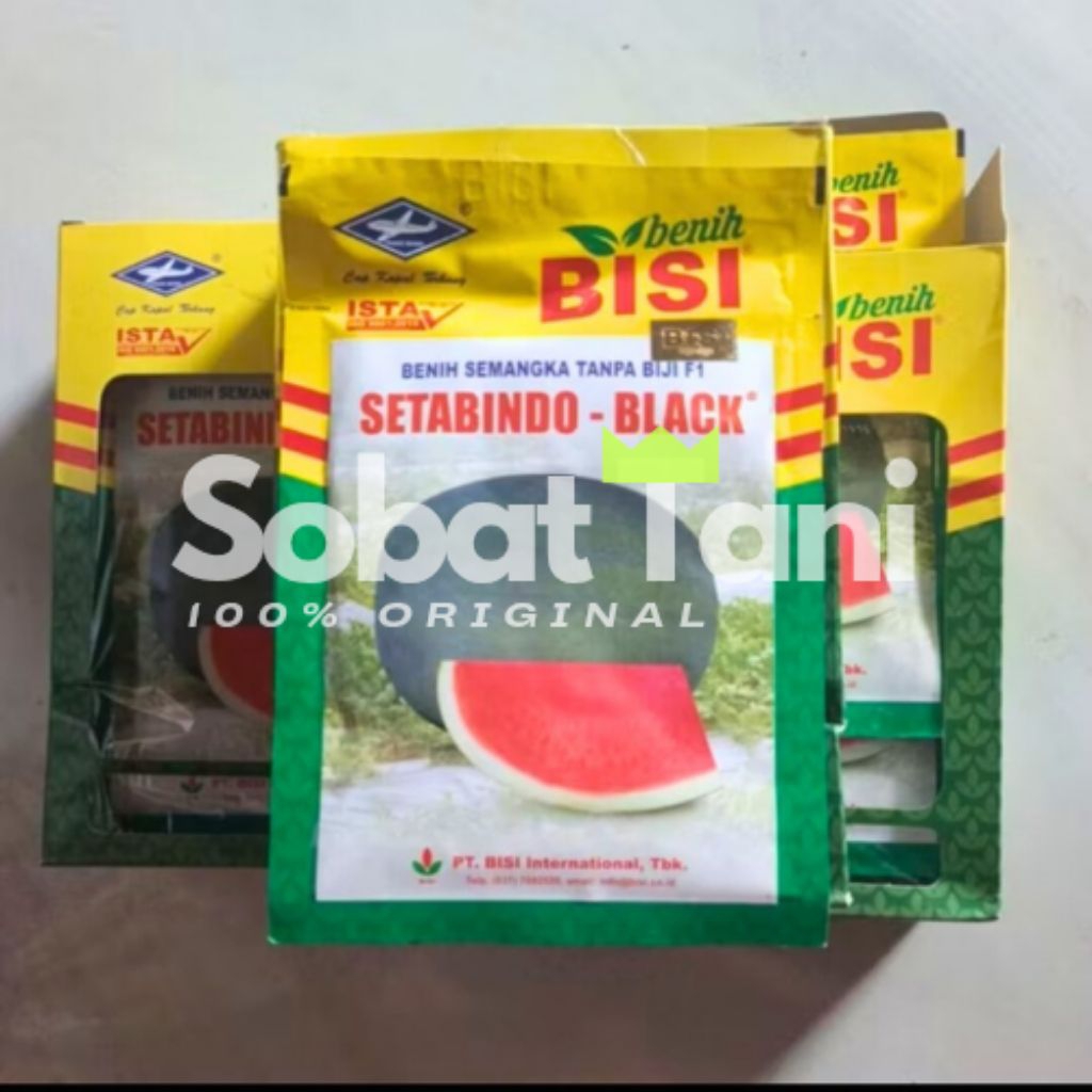 Benih Semangka Tanpa Biji SETABINDO BLACK 20gr BISI Original