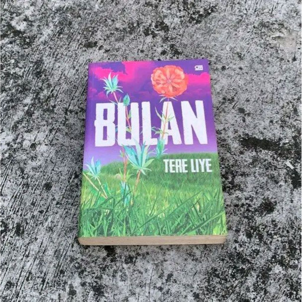 buku novel bulan tere liye