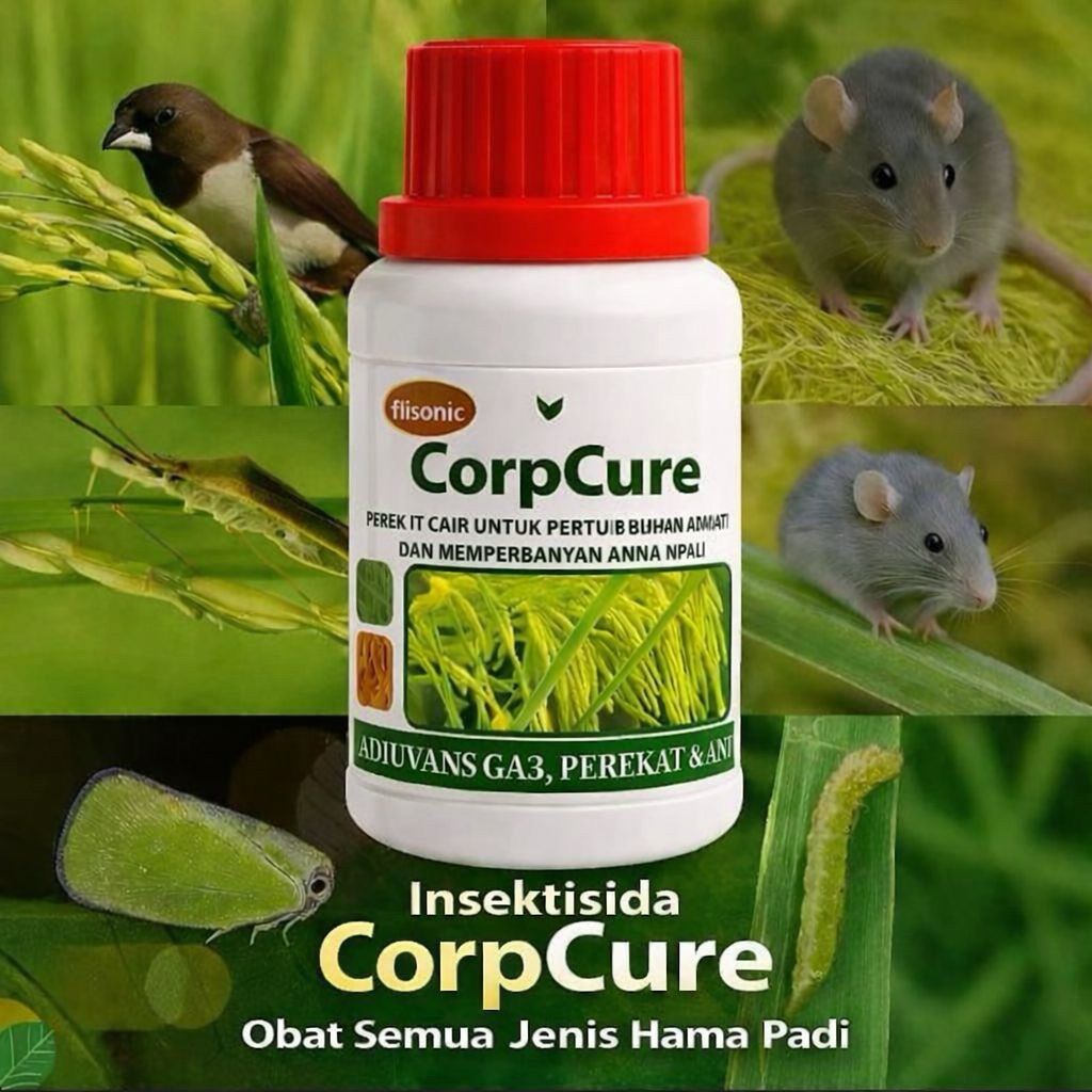 Terlariss Insektisida CorpCure Obat semua jenis Hama Padi Ampuh 100% dan meningkatkan anakan Padi Or