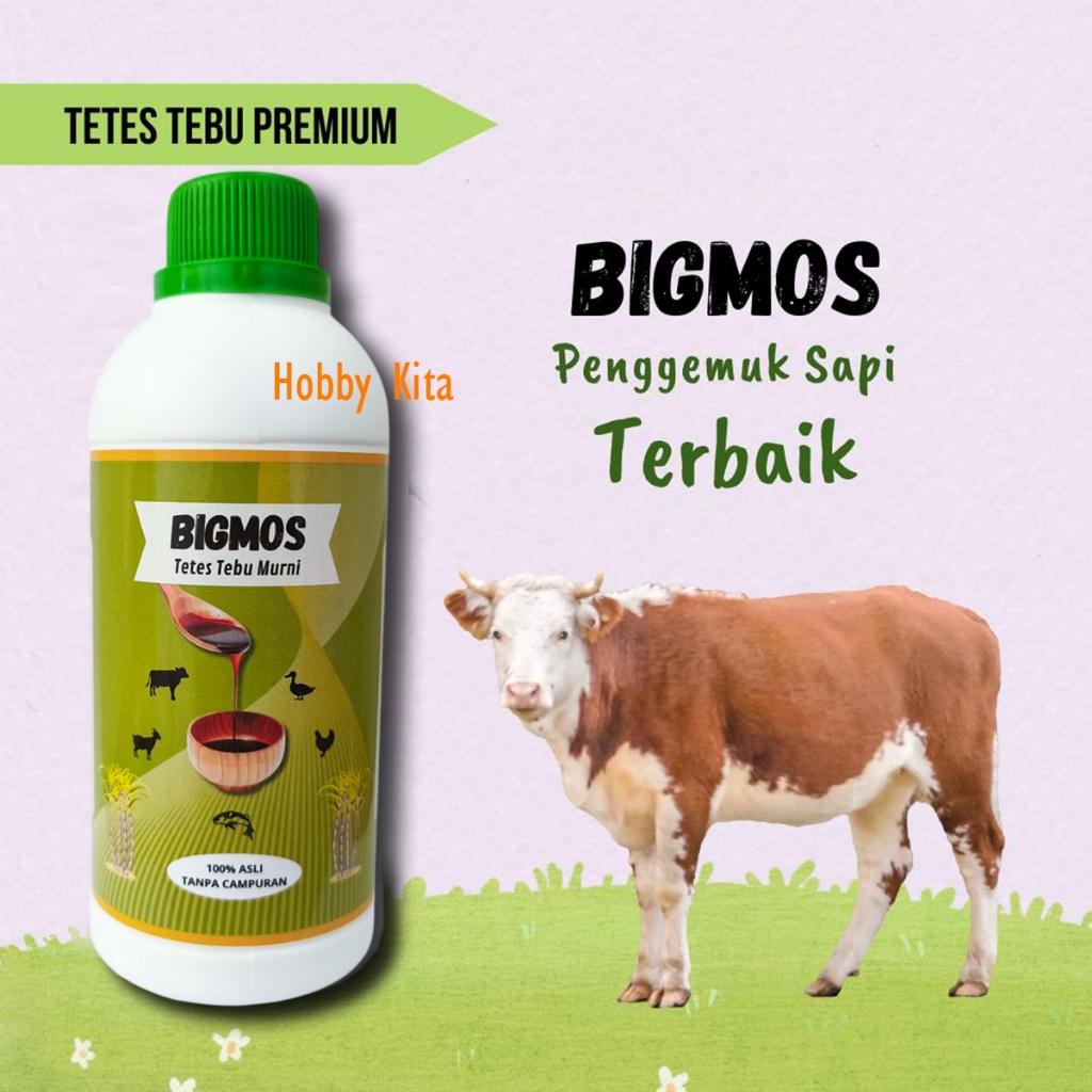 Penambah Nafsu Makan Sapi BIGMOS Molase Tetes Tebu Terapi Penggemukan Sapi Kambing Domba Unggas