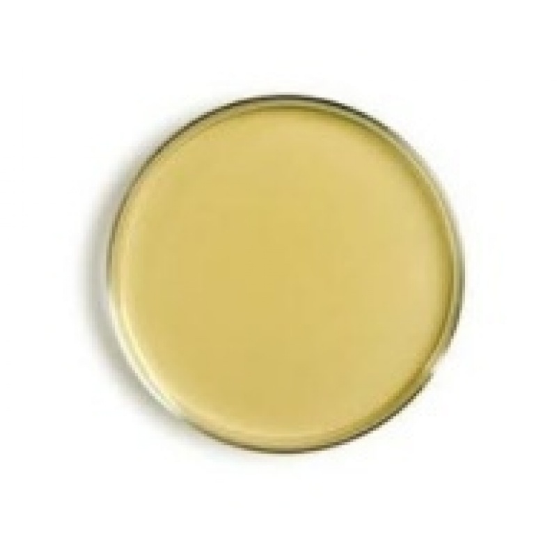 Nutrient Agar Plate (NA)/ Media Nutrien Agar Plat, steril siap pakai