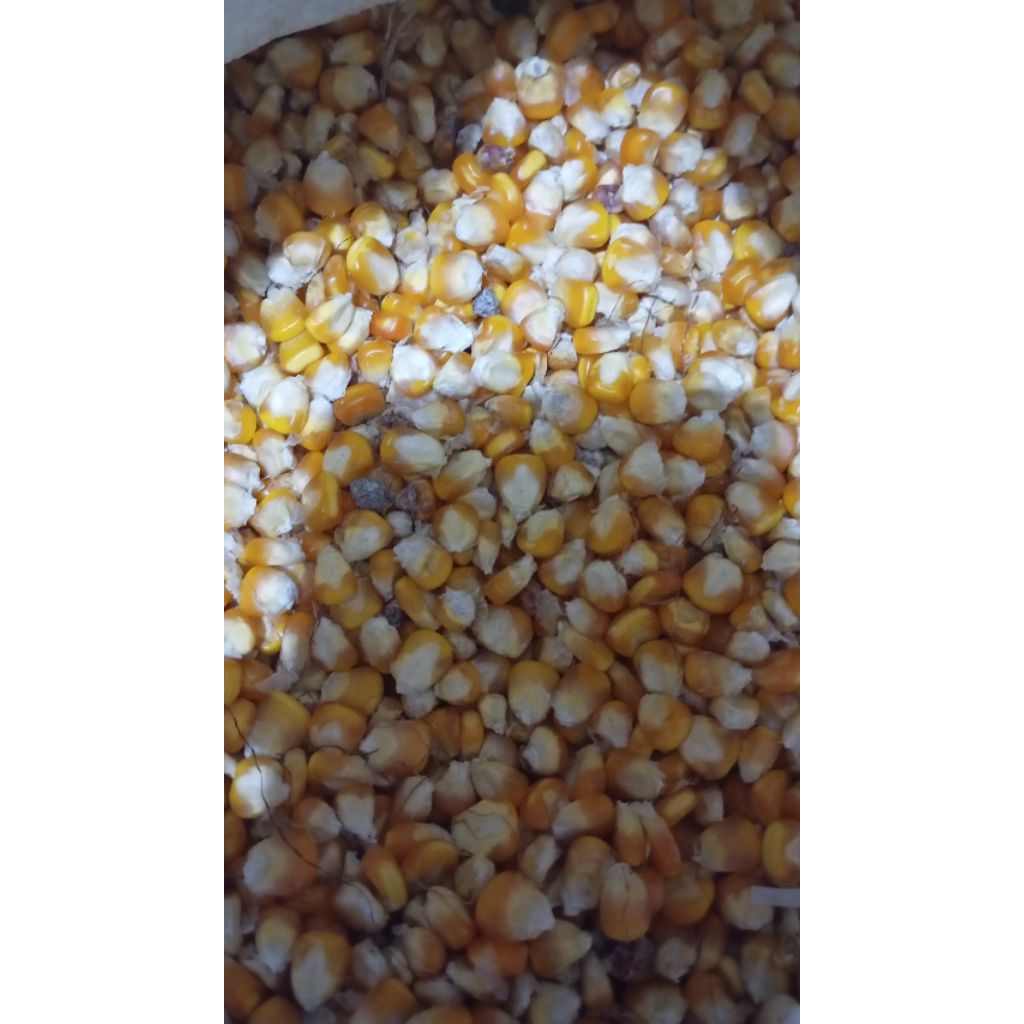 Siomay kering renyah kiloan