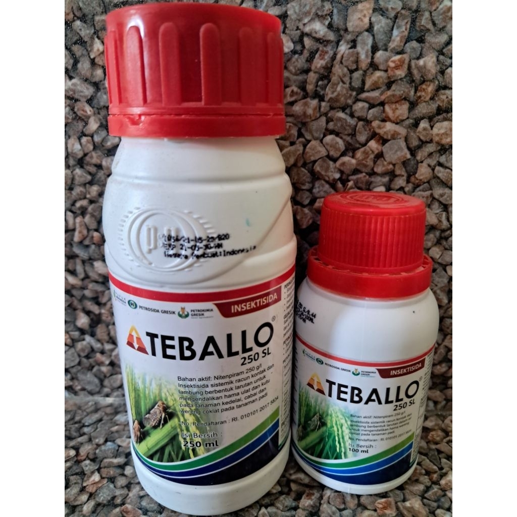Insektisida TEBALLO 250SL obat pembasmi wereng coklat pada padi
