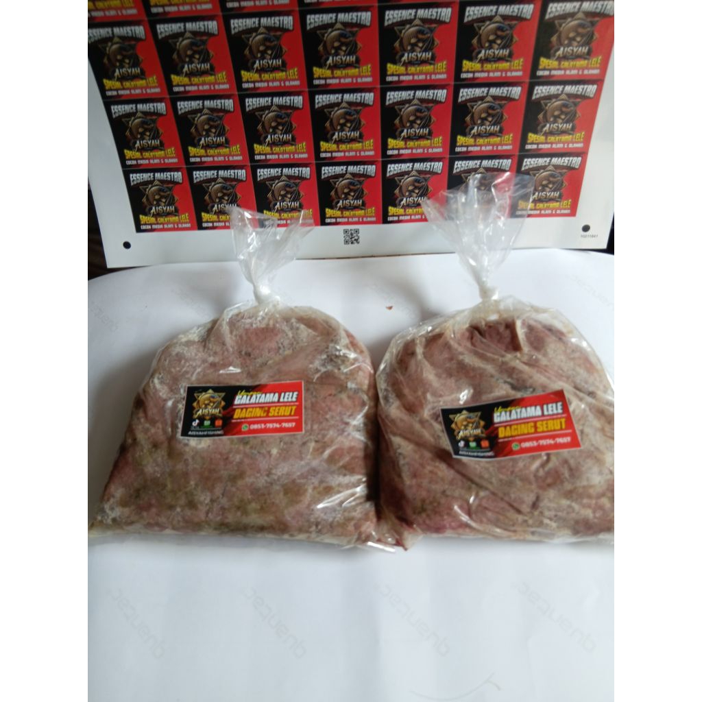 Daging serut giling umpan galatama lele