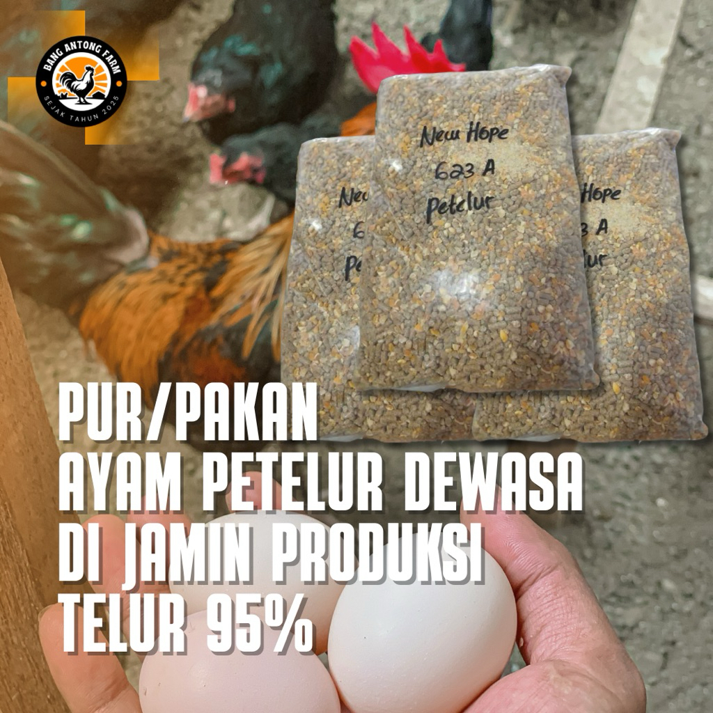 5KG PUR/PAKAN AYAM PETELUR 623A, PAKAN AYAM PETELUR DEWASA