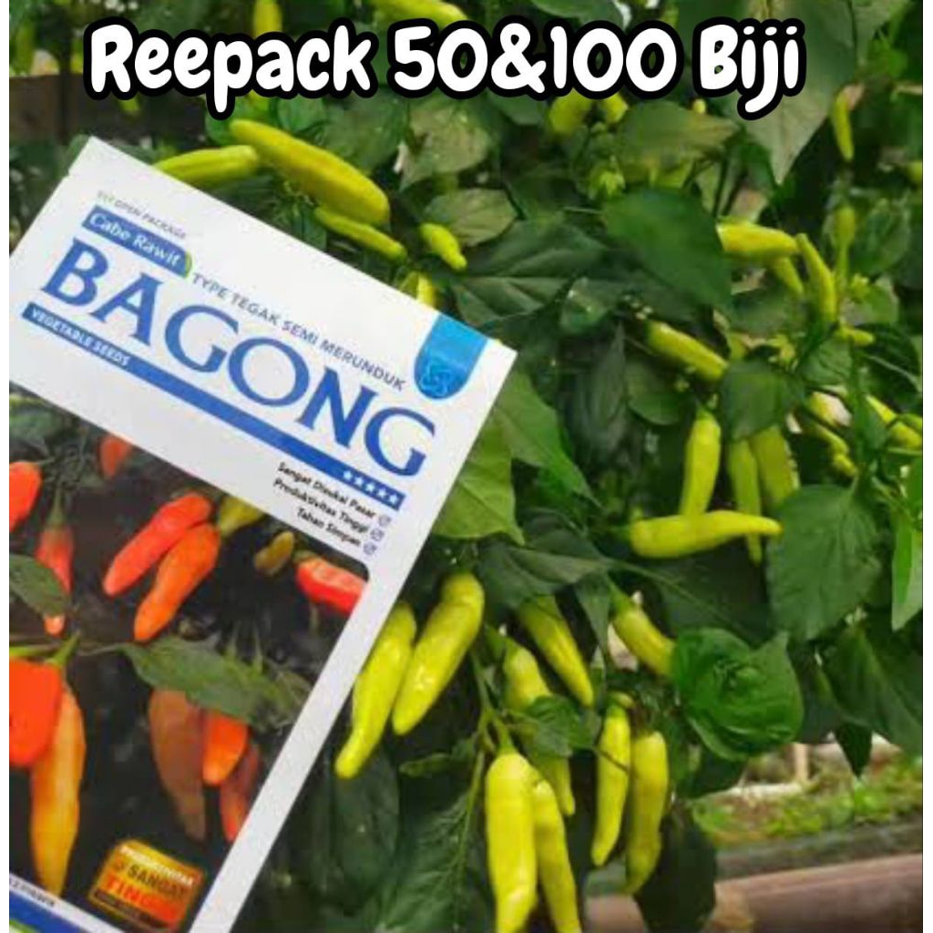 Reepack 100 Biji Cabe Rawit Bagong | Benih Cabai Rawit Bagong