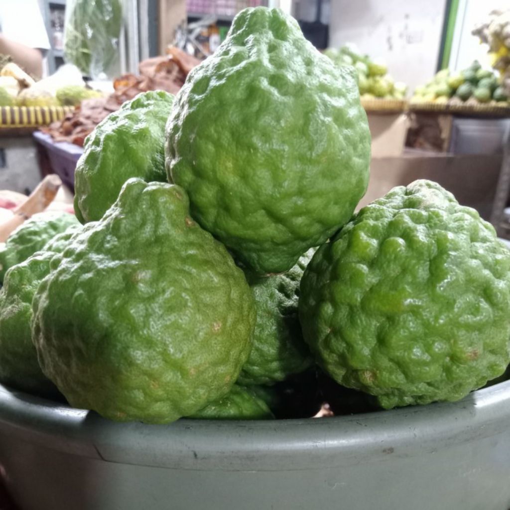 Jeruk Purut Jumbo 1kg / Jeruk Purut Besar / jeruk purut Asli
