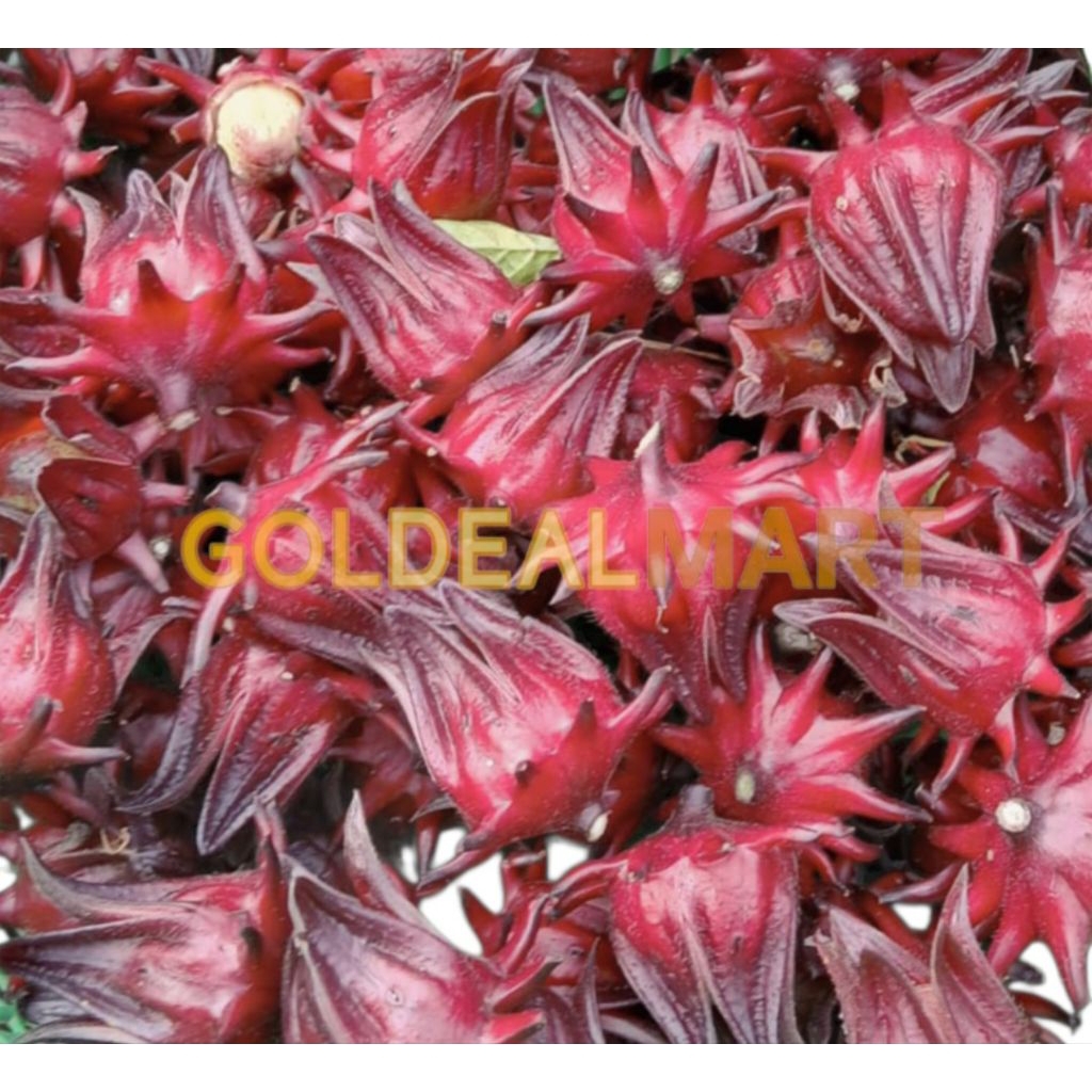 Bunga Rosella Rosela merah segar pilihan fresh 200g