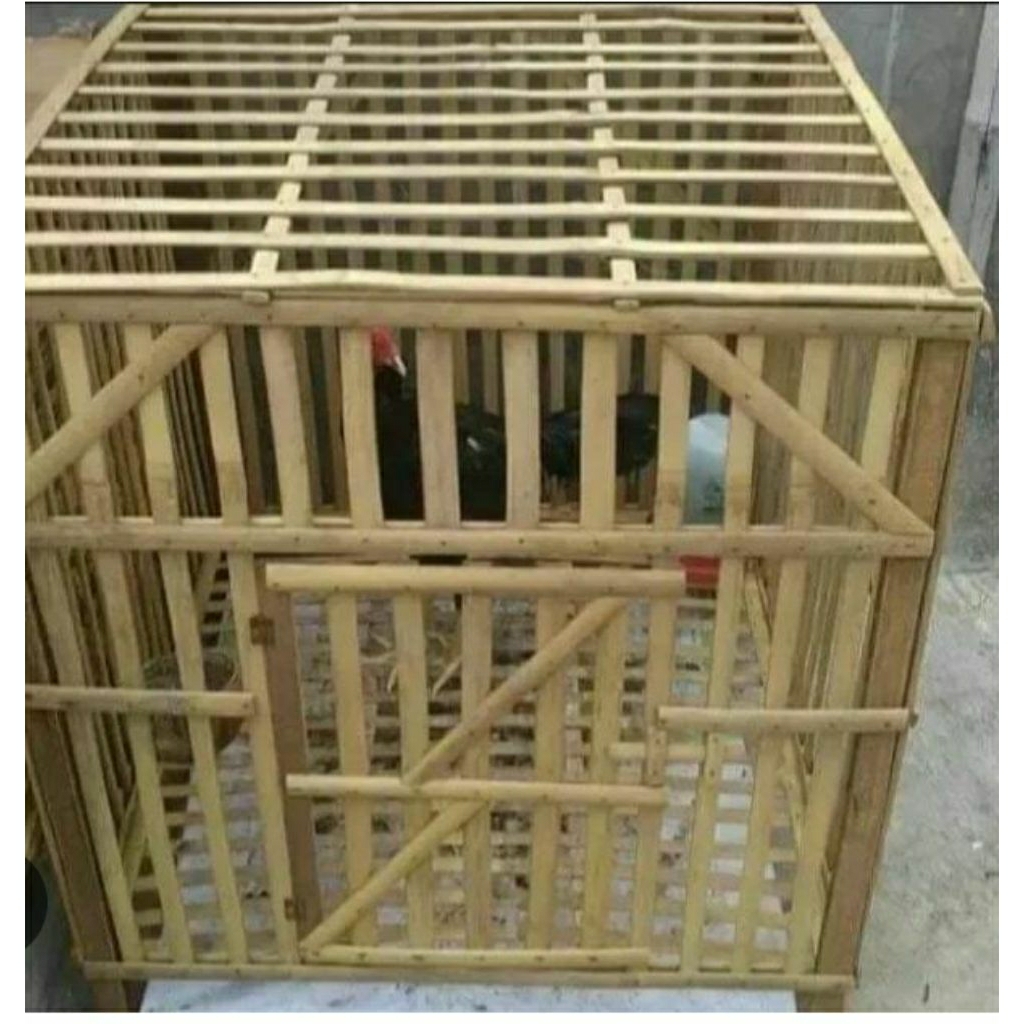KANDANG AYAM JAGO