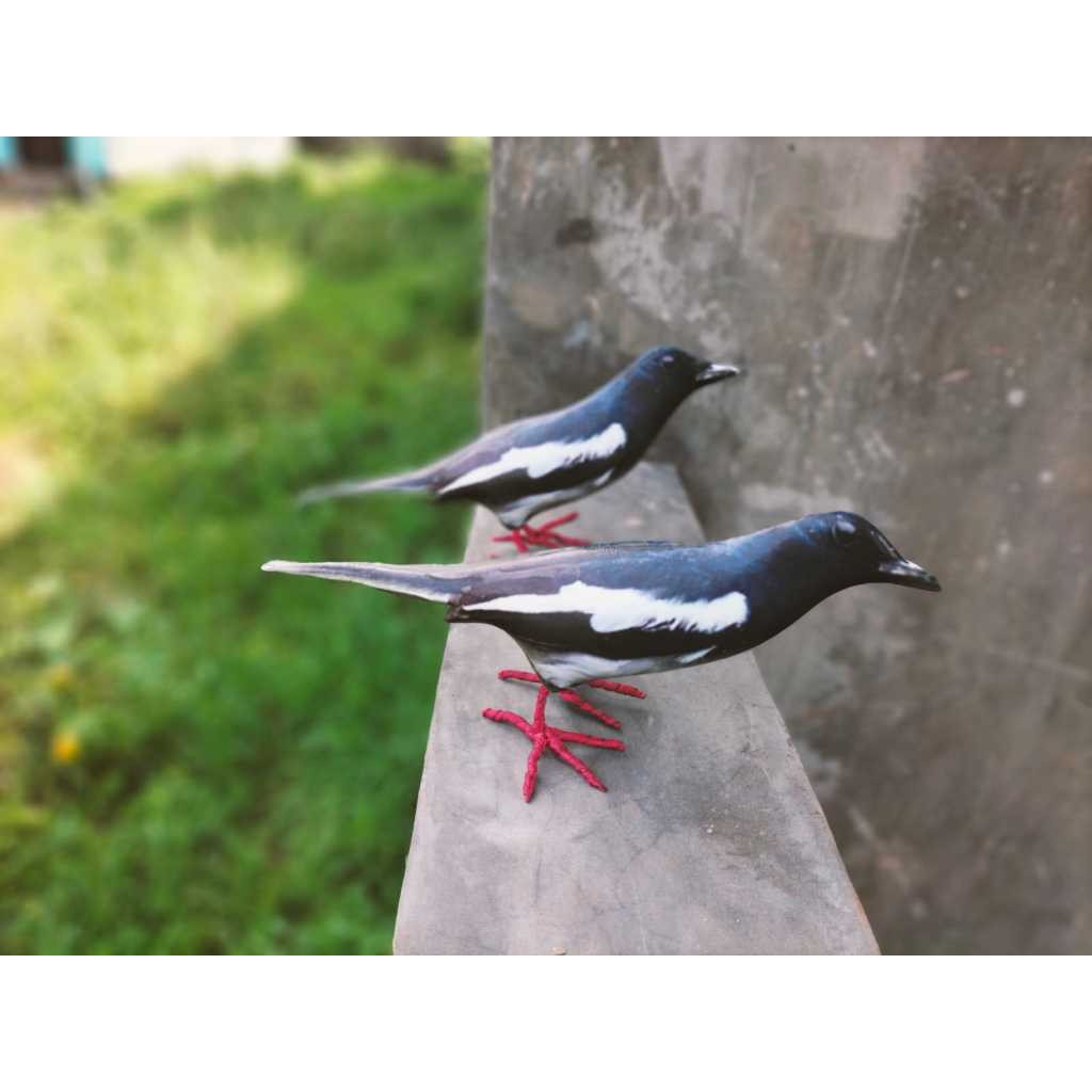 jontrot boneka burung kacer ocehan  mirip asli ampuh