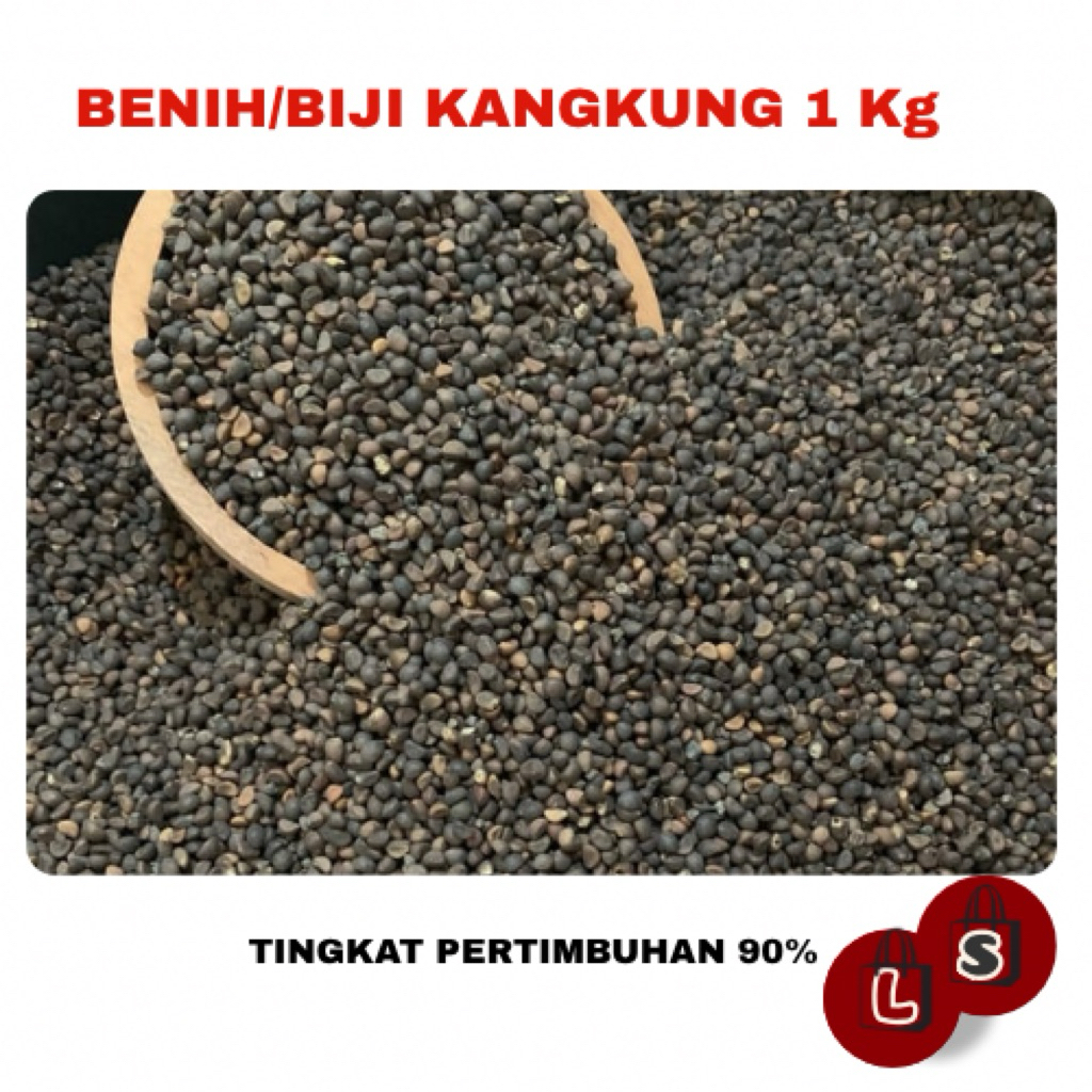 PROMO BENIH BIJI KANGKUNG 1 KG