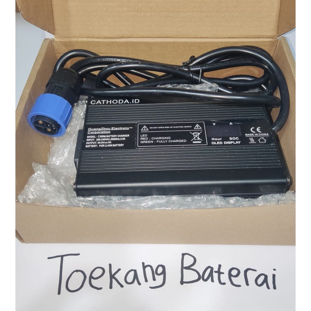 Charger lithium 48 volt 13S