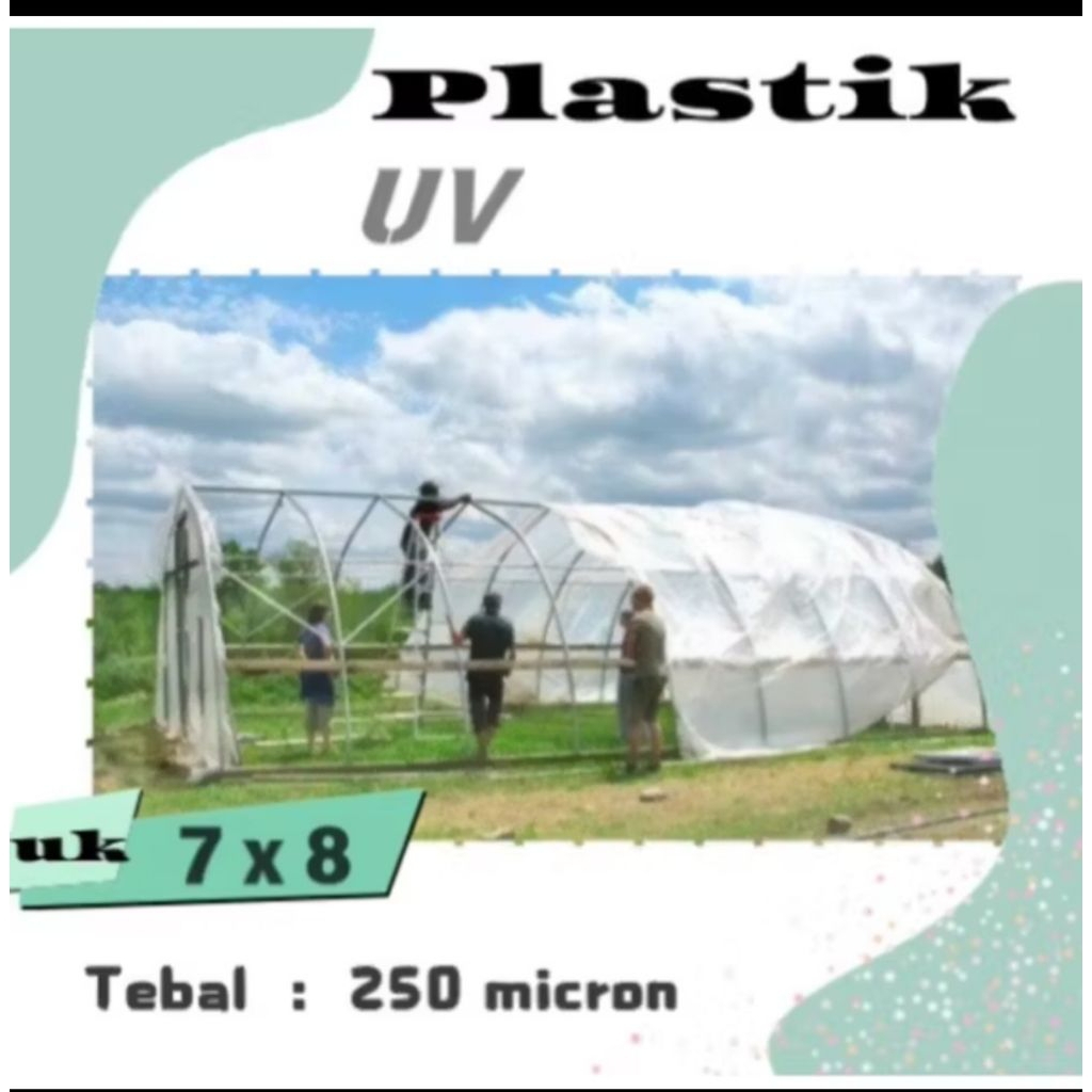 Plastik UV 7 x 8 m Tebal 250 micron Bekas Layak
