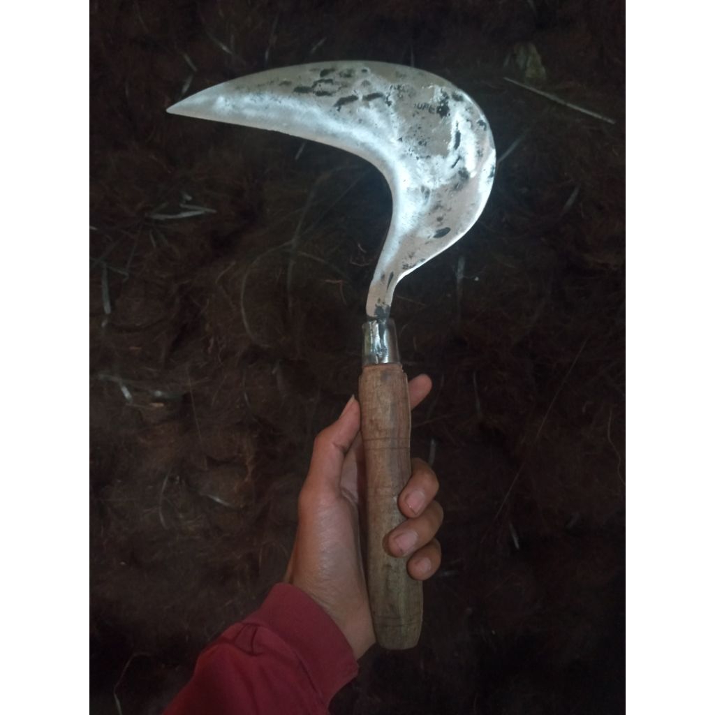 alat pemotong rumput/arit tajam dan berkualitas