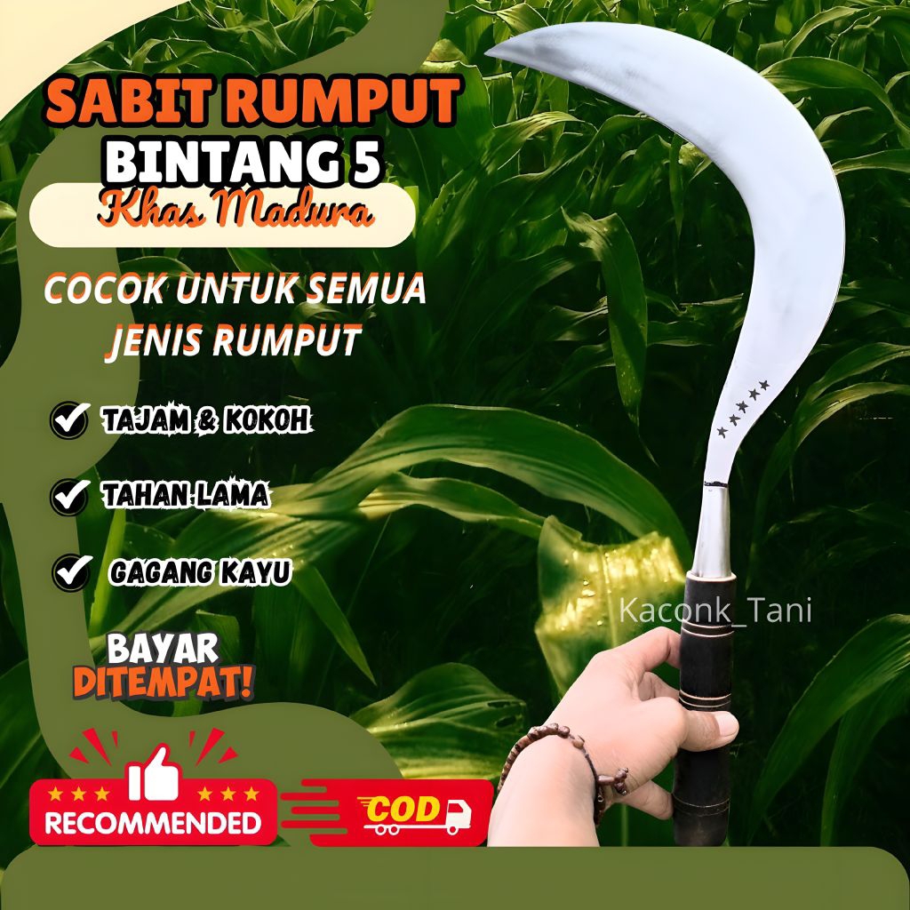 ARIT RUMPUT PADI JAGUNG ASLI BAJA MADURA BINTANG 5