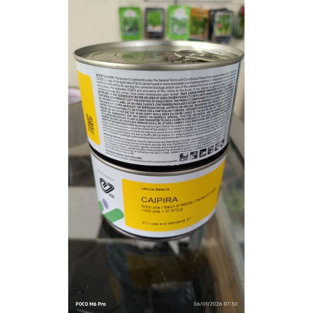 benih selada caipira original 5000 pill