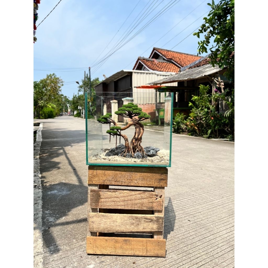Aquascape Bonsai Simpel FULLSET ukuran 30cm