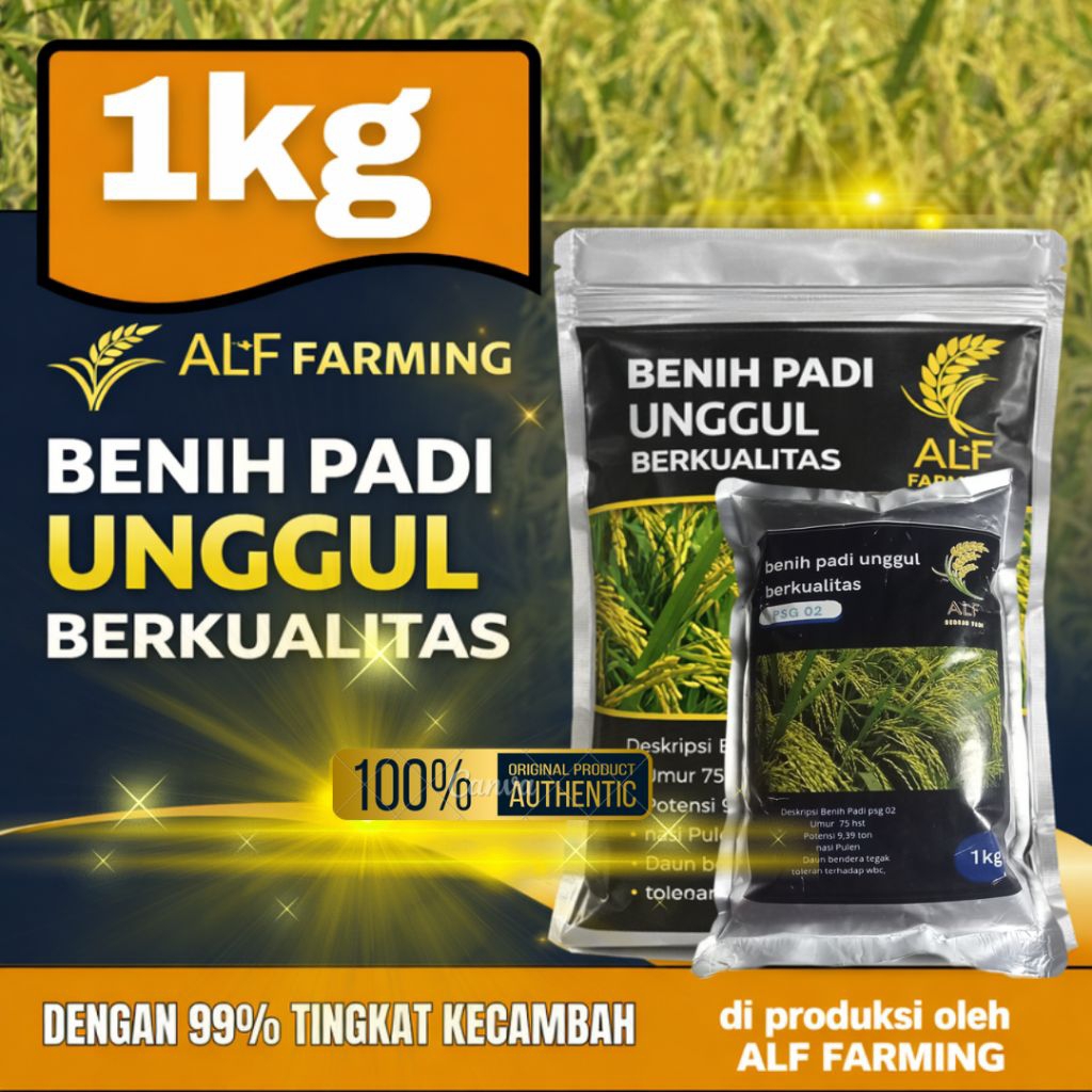 benih bibit padi unggul berkualitas PSG 02 padi 70hst cocok untuk petani yang ingin cepat panen