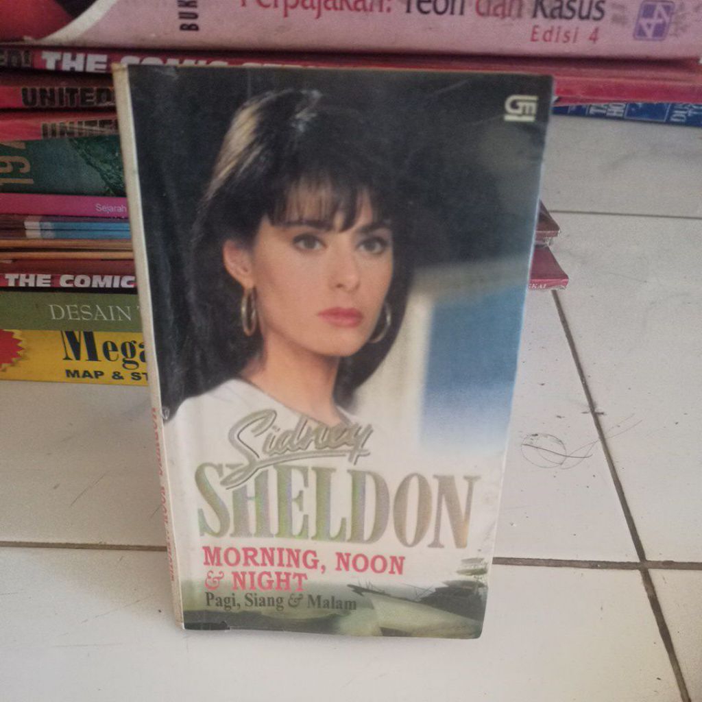 novel sidney Sheldon morning noon n night