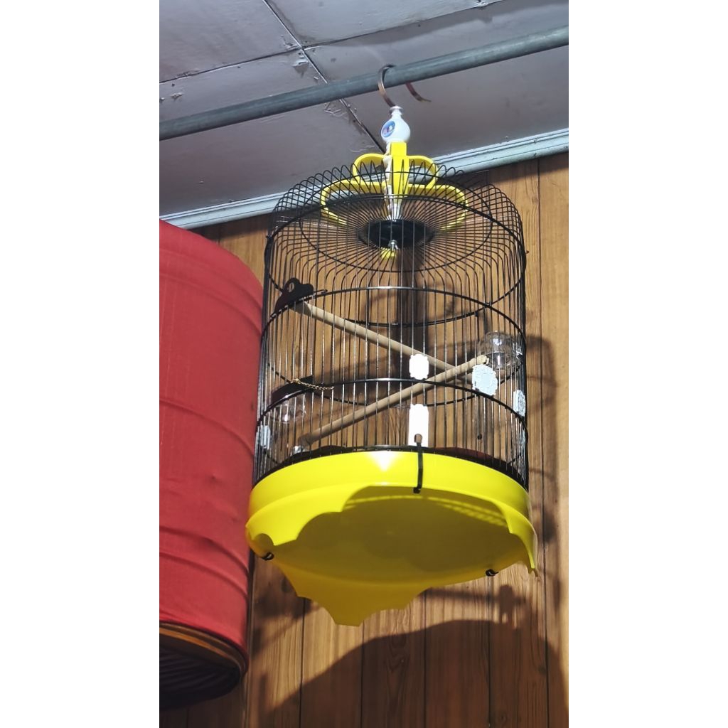 sangkar besi jumbo diameter 42