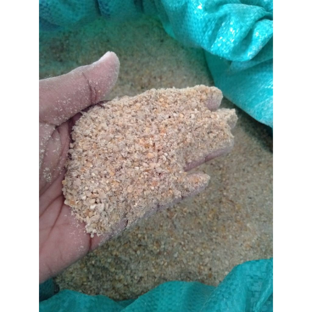 jagung giling pakan ayam 1 kg