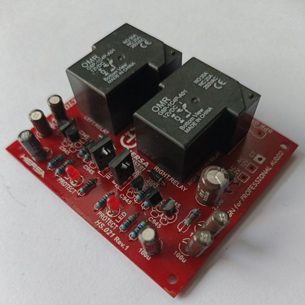 SPEAKER PROTECTOR STEREO