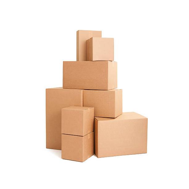 Kotak Kardus Packing 100 Botol