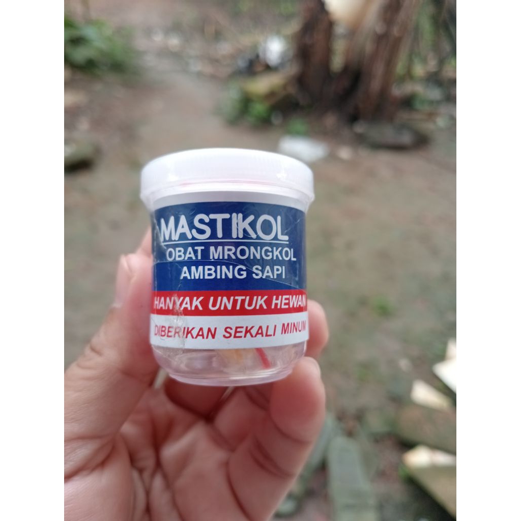 MASTICOL obat mastitis/ambing bengkak pada kambing dan sapi