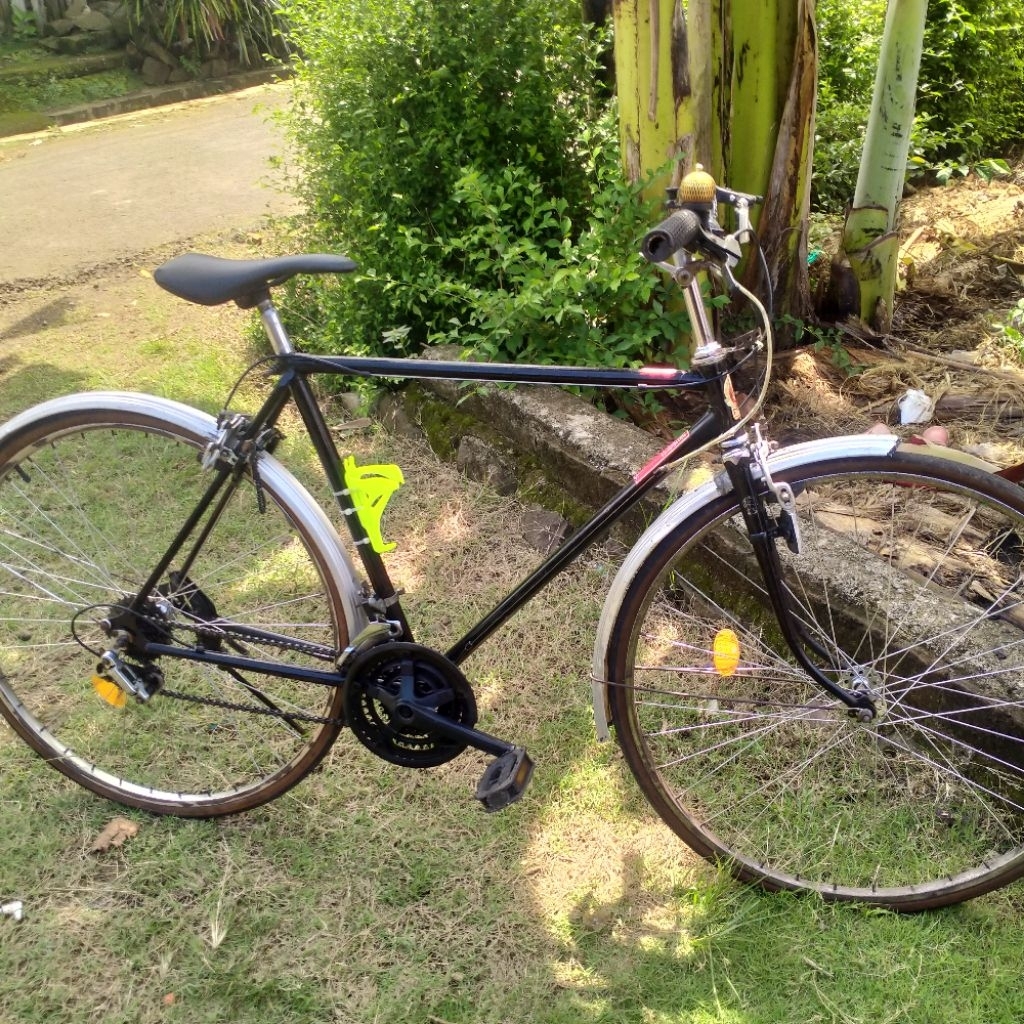 Phoenix bajul commuter bike