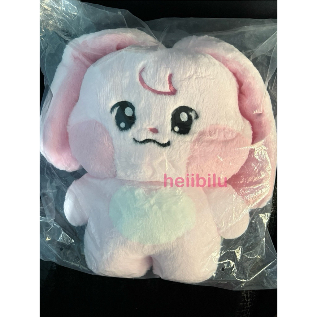 (READY SEALED) KKYUPING BIG FLAT CUSHION 40CM DOLL BONEKA NCT DREAM X LINE FRIENDS DREAMIEZ