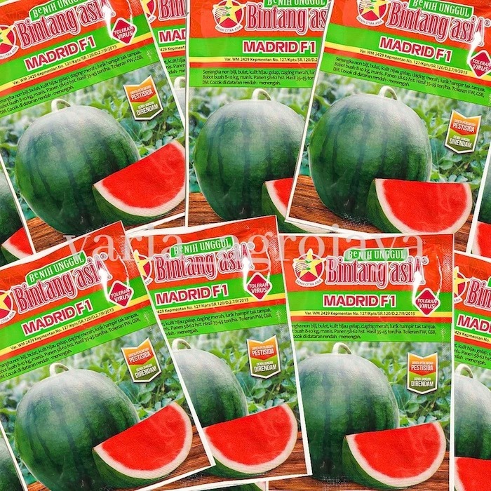 MADRID f1.bibit semangka non biji/benih semangka Non biji kemasan 20 gr