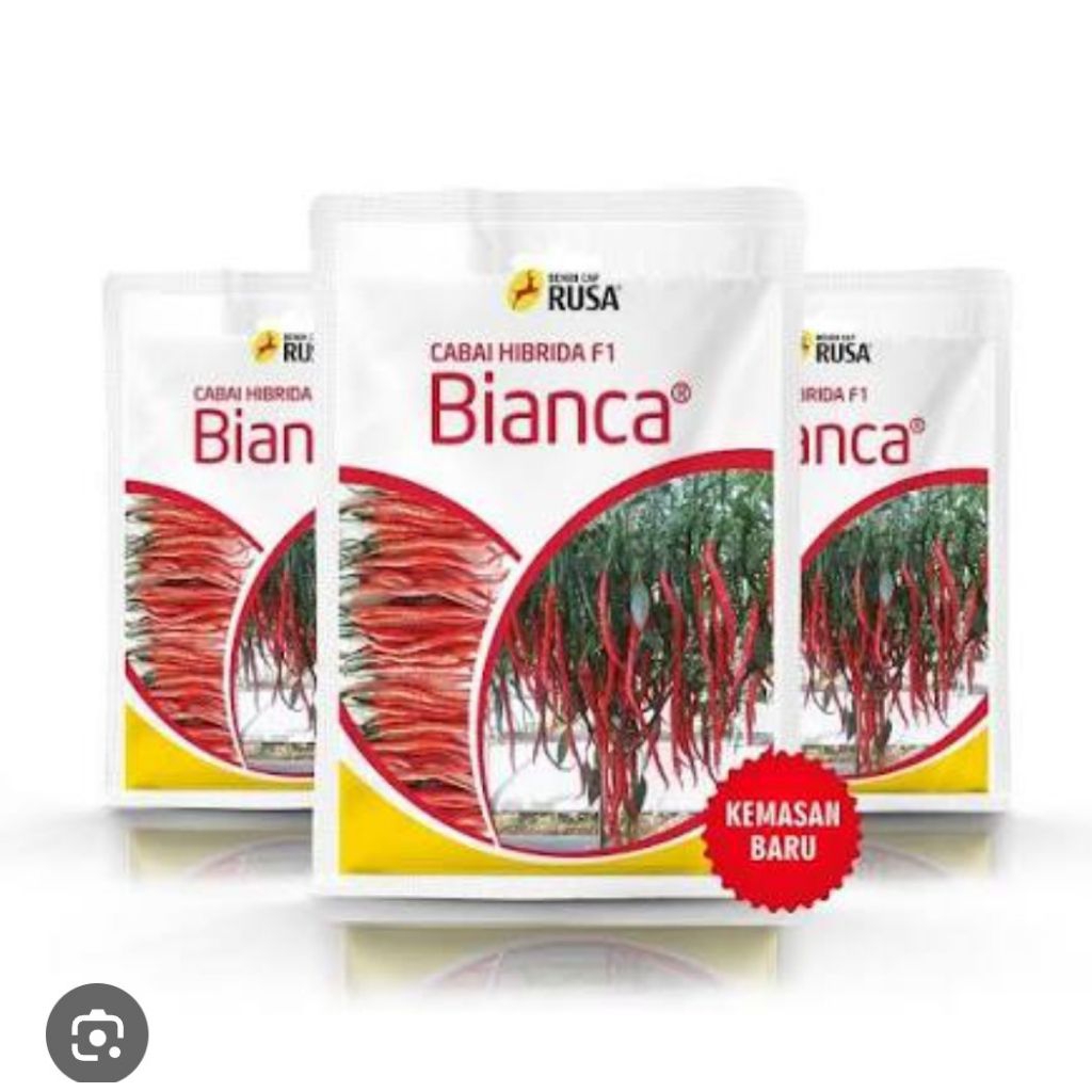 benih bibit cabai keriting BIANCA F1 10 GRAM