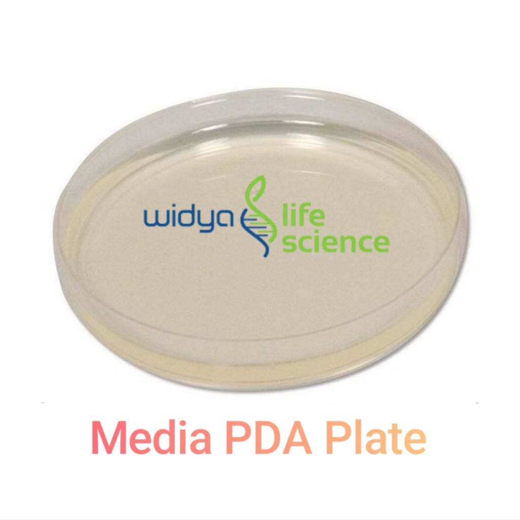 Media Agar Plate Pertumbuhan Jamur untuk TPC / Uji AKK / Potato Dextrose Agar / PDA / Media Pertumbu