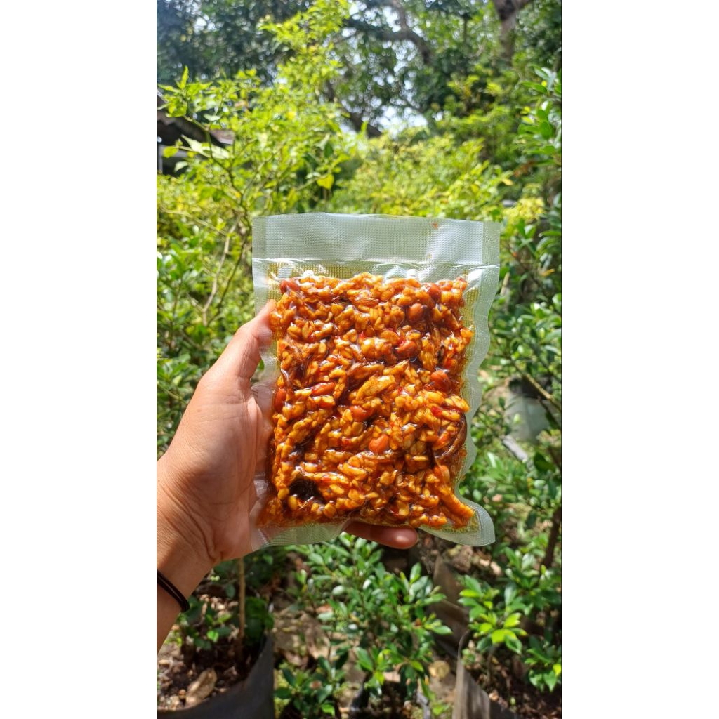 TEMPE OREK KACANG TERI KEMASAN 100gr | TEMPE OREK KERING PEDAS MANIS