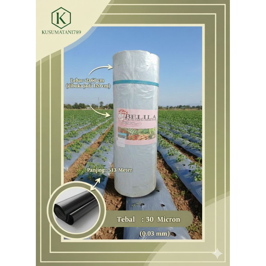 PLASTIK MULSA HITAM PERAK BELILA 17KG - Mulsa Pertanian Premium Tebal Kuat