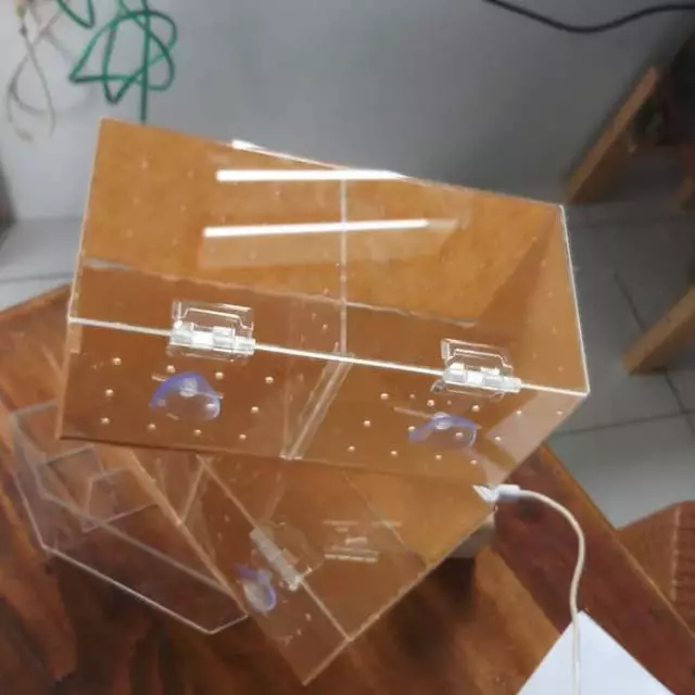 Box Akrilik Karantina Ikan 21x10x10