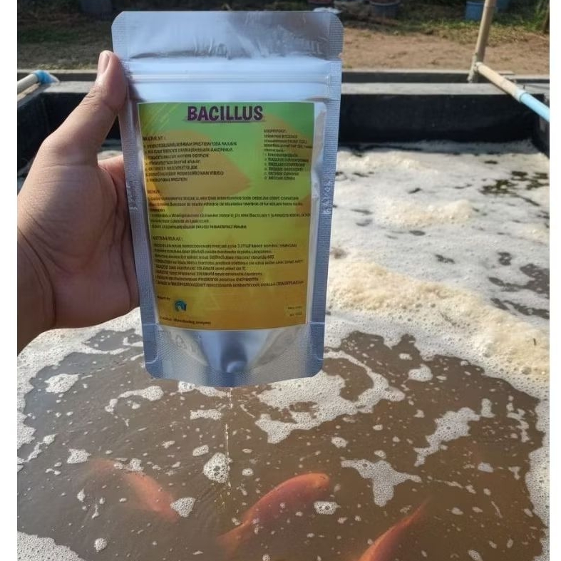 BACILLUS probiotic by KisaranAquaculture | 500 gr