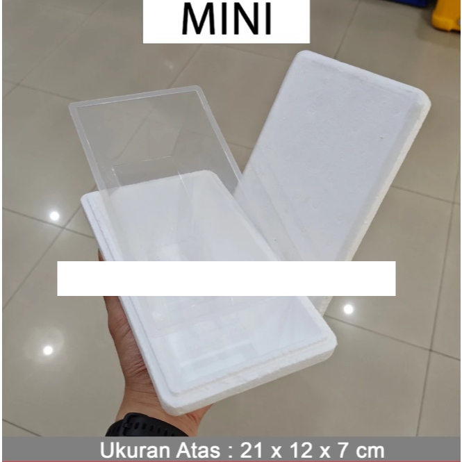 [SDW] pekanbaru/Mini Box - Kotak Sterefoam - Sterefoam Box - Kotak Styrofoam - Styrofoam Box