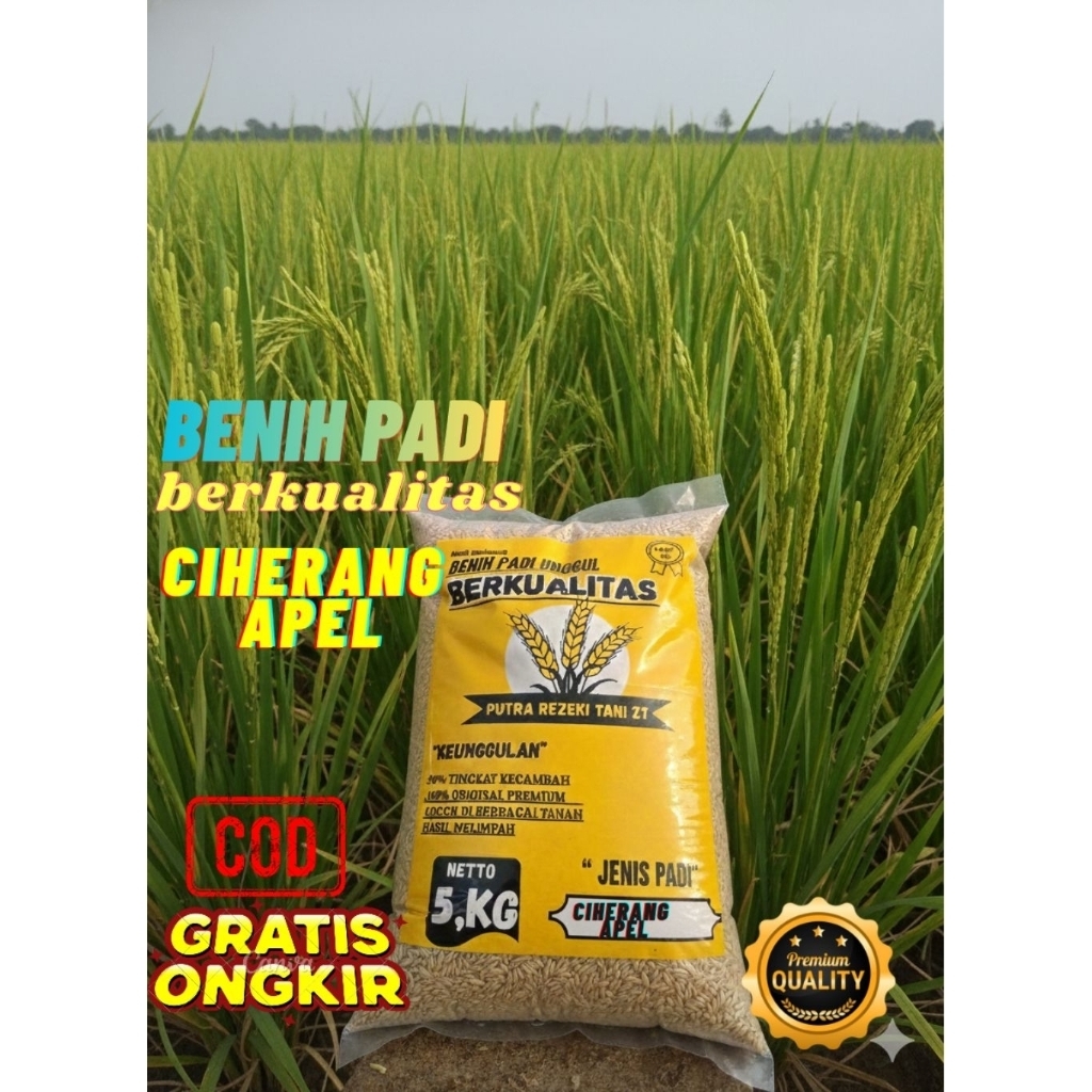 Benih padi bibit padi unggul CIHERANG APEL kemasan 5kg