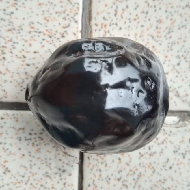 Kemiri Muncang aduan jenis JALIM SUPER