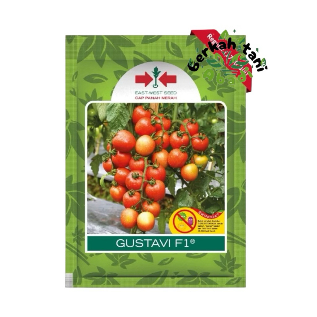 Gustavi F1 bibit tomat panah merah