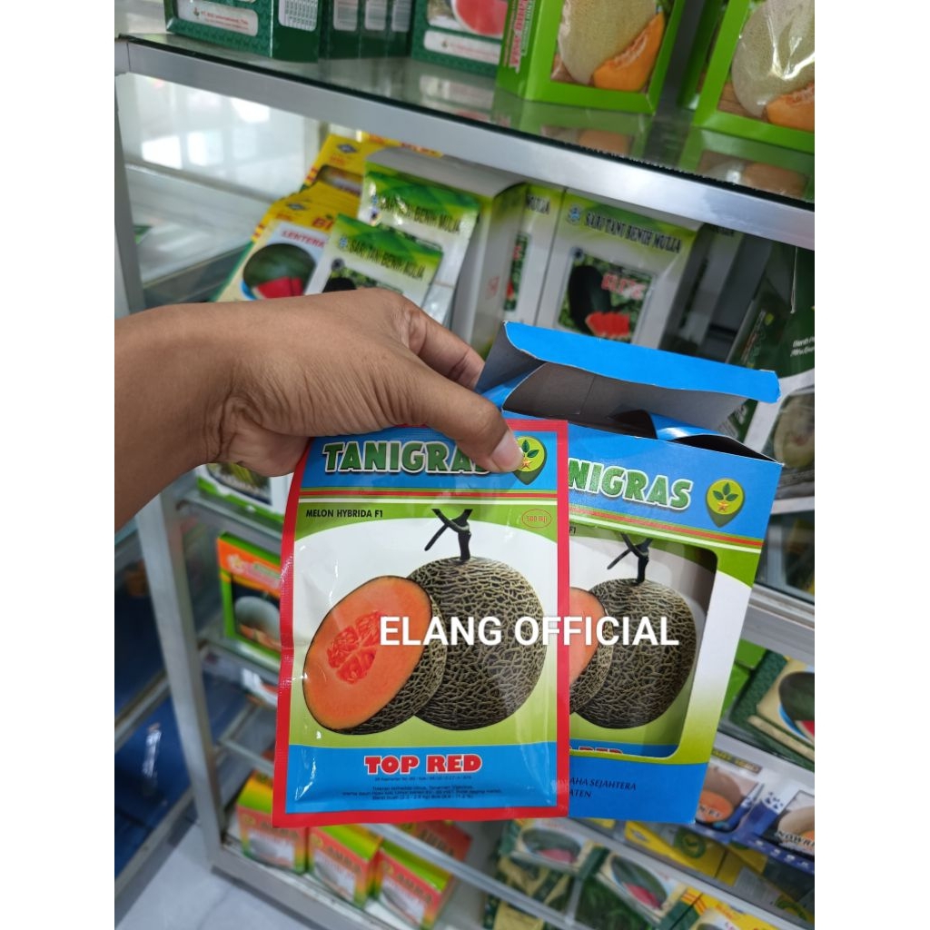 Benih Bibit Melon Top Red F1 isi 500 Butir Kadaluarsa 2027  - Benih Bibit Tanigras