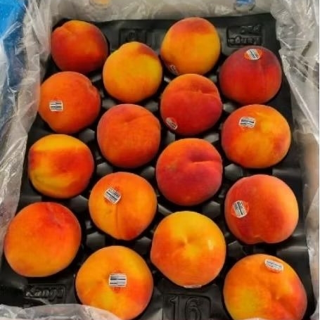 buah peach yellow super fresh buah peach kuning super premium manis  1kg